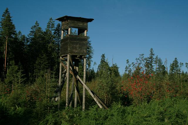 Kniebis 2009 Bild 16